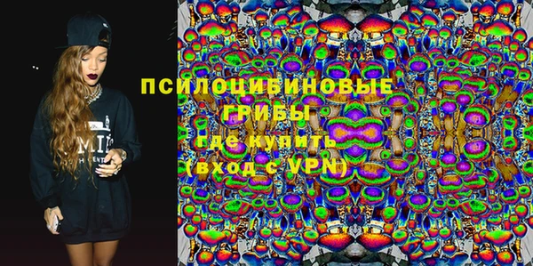 мдпв Инта