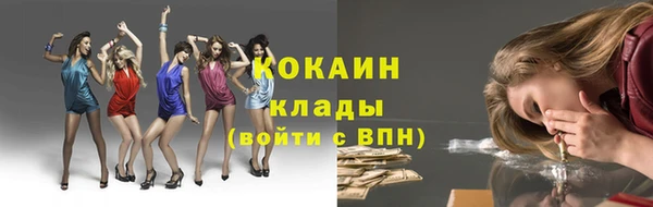мдпв Инта
