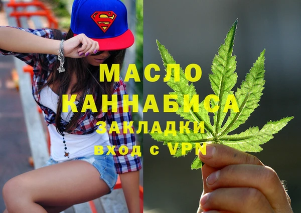 мдпв Инта