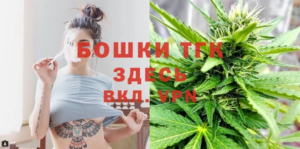 мдпв Инта