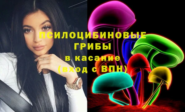 мдпв Инта