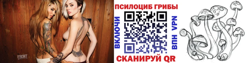 Купить  Волгореченск  Псилоцибиновые грибы прущие грибы 